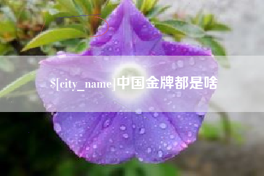 吉安中国金牌都是啥