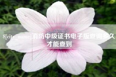 吉安消防中级证书电子版查询多久才能查到