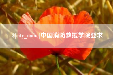 吉安中国消防救援学院要求