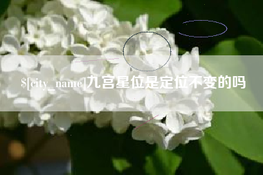 吉安九宫星位是定位不变的吗