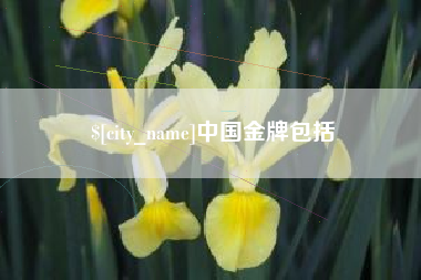 吉安中国金牌包括