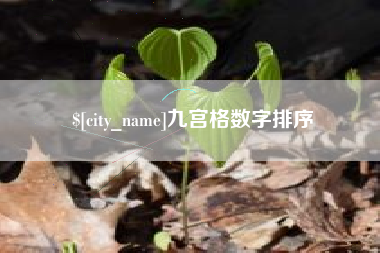 吉安九宫格数字排序