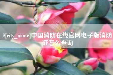 吉安中国消防在线官网电子版消防证怎么查询