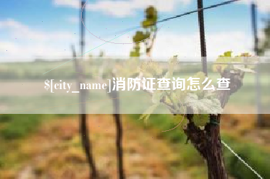 吉安消防证查询怎么查