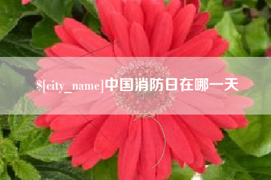 吉安中国消防日在哪一天