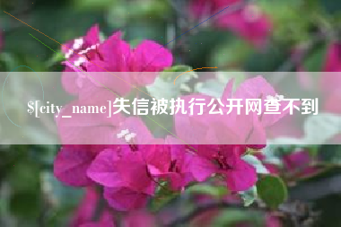 吉安失信被执行公开网查不到