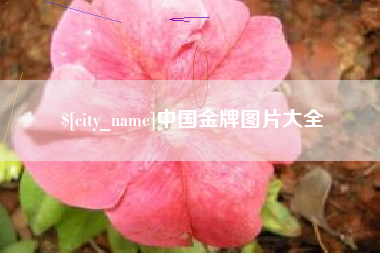 吉安中国金牌图片大全