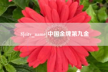 吉安中国金牌第九金