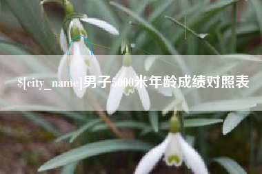 吉安男子5000米年龄成绩对照表