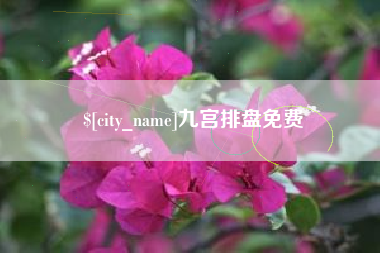吉安九宫排盘免费