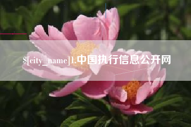 吉安1.中国执行信息公开网