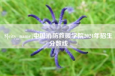 吉安中国消防救援学院2024年招生分数线