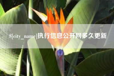 吉安执行信息公开网多久更新