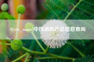 吉安中国消防产品信息查询