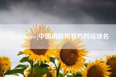 吉安中国消防网官方网站域名