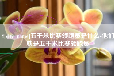 吉安五千米比赛领跑员是什么-他们就是五千米比赛领跑员