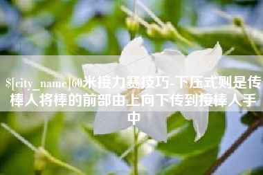 吉安60米接力赛技巧-下压式则是传棒人将棒的前部由上向下传到接棒人手中