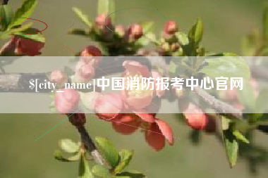 吉安中国消防报考中心官网