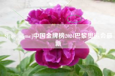 吉安中国金牌榜2024巴黎奥运会最新