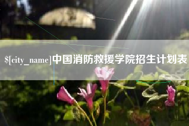 吉安中国消防救援学院招生计划表