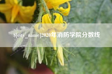 吉安2020年消防学院分数线