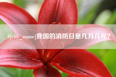 吉安我国的消防日是几月几号？