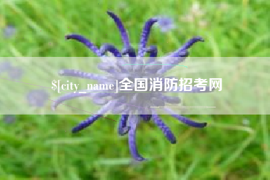吉安全国消防招考网