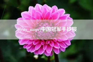 吉安中国冠军手抄报