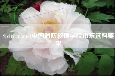 吉安中国消防救援学院山东选科要求