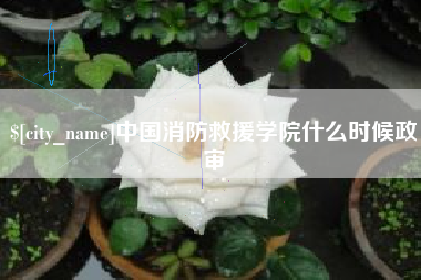吉安中国消防救援学院什么时候政审
