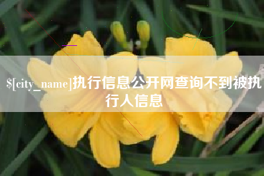 吉安执行信息公开网查询不到被执行人信息