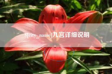 吉安九宫详细说明
