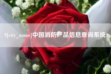吉安中国消防产品信息查询系统1