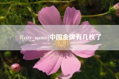 吉安中国金牌有几枚了