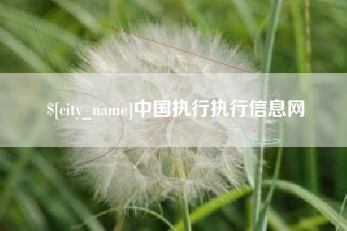 吉安中国执行执行信息网