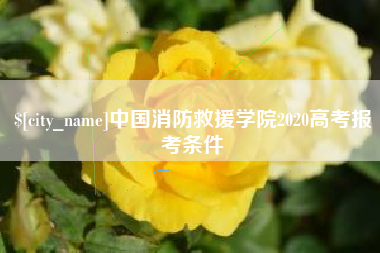 吉安中国消防救援学院2020高考报考条件