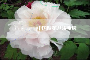 吉安中国队第八块金牌
