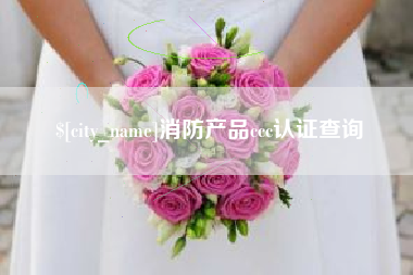 吉安消防产品ccc认证查询