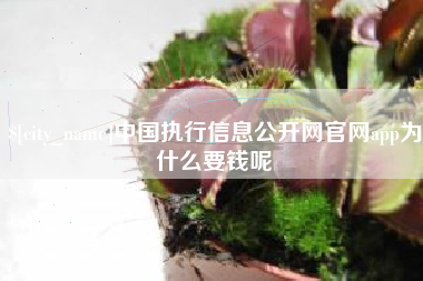 吉安中国执行信息公开网官网app为什么要钱呢