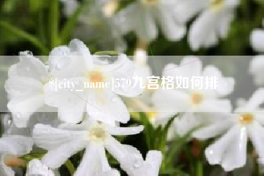 吉安579九宫格如何排