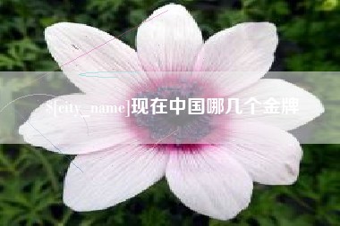 吉安现在中国哪几个金牌