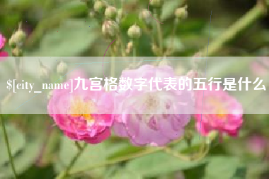 吉安九宫格数字代表的五行是什么