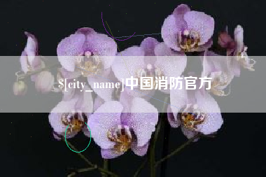 吉安中国消防官方