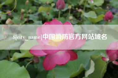 吉安中国消防官方网站域名