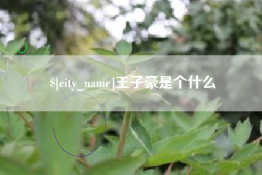 吉安王子豪是个什么