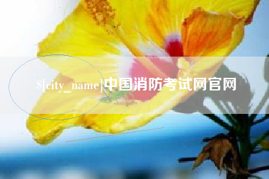 吉安中国消防考试网官网