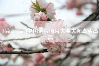 吉安中国金牌图片大全大图真实高清