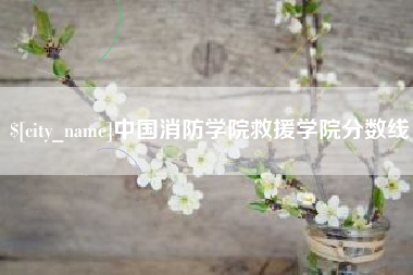 吉安中国消防学院救援学院分数线