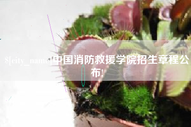 吉安中国消防救援学院招生章程公布!