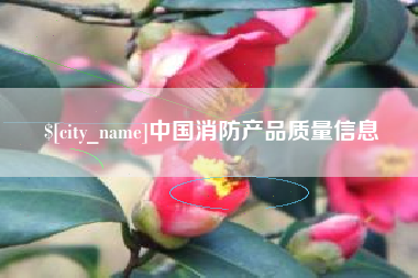 吉安中国消防产品质量信息